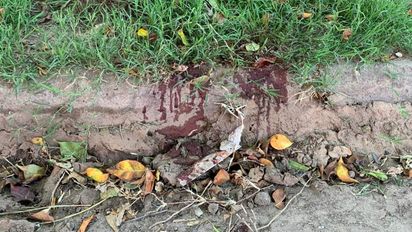 Habló un testigo del brutal ataque en barrio San Martín: 