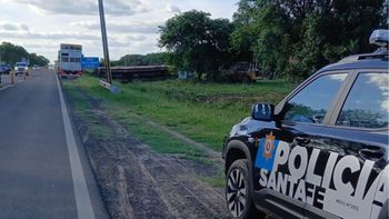 Vuelco de un camión jaula en Ruta 11: rescataron animales y el chofer resultó herido