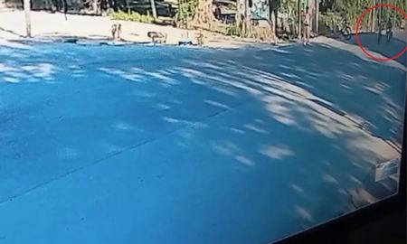 accidente fatal en ensenada: una anciana que cruzaba la calle fue embestida por una moto y fallecio horas mas tarde accidente fatal en ensenada: una anciana que cruzaba la calle fue embestida por una moto y fallecio horas mas tarde