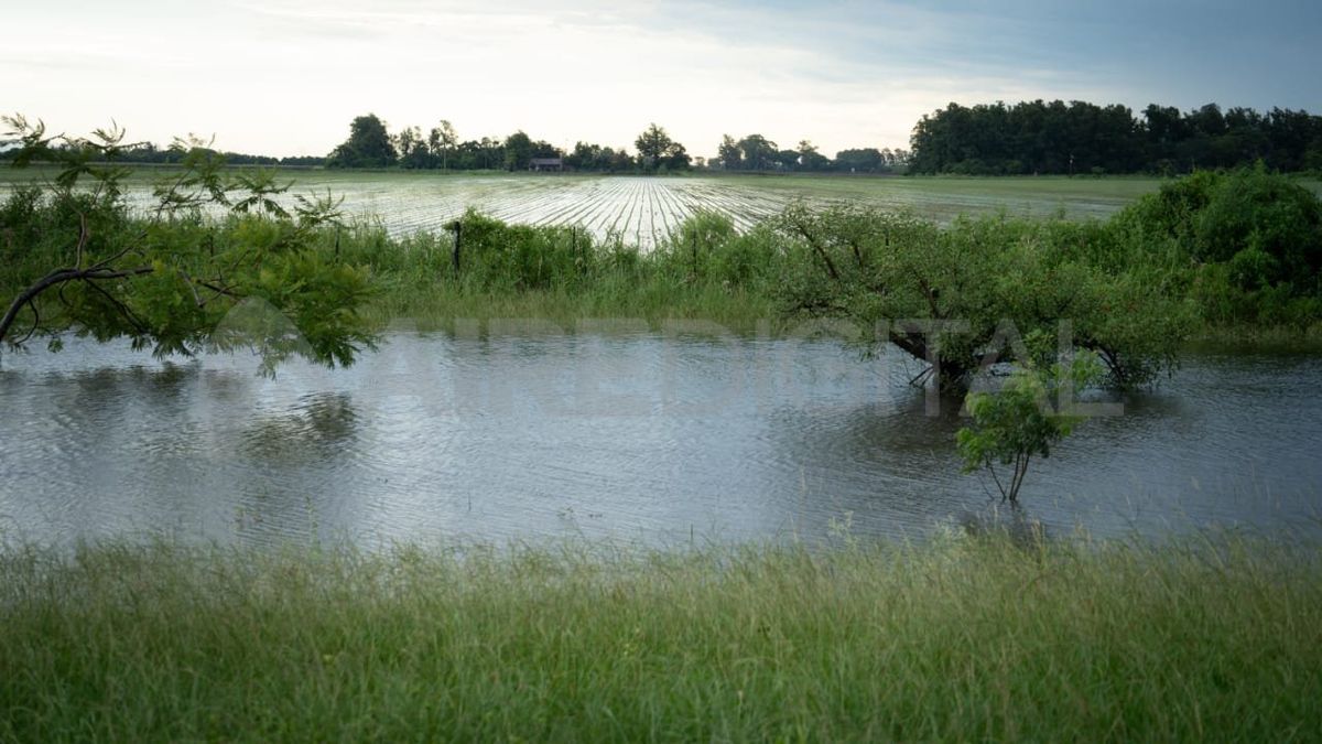 En Reconquista cayeron cerca de 360 milímetros en los últimos tres días. En Reconquista cayeron cerca de 360 milímetros en los últimos tres días.