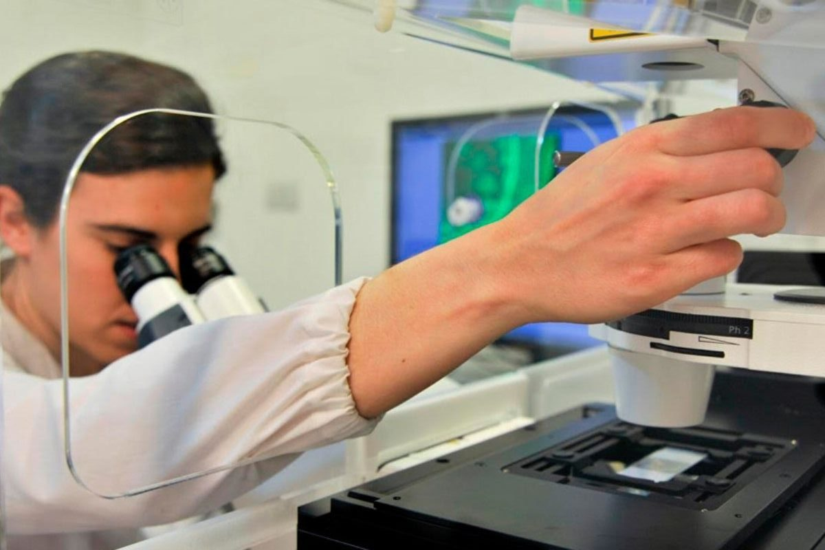 El centro argentino ascendió al puesto 141 entre más de 8.000, según la clasificación SCImago 2022. 