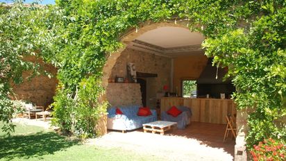 3 plantas trepadoras para sembrar en septiembre y disfrutar de sus flores en verano