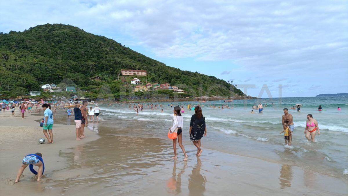 El Instituto de Medio Ambiente (IMA) controla semanalmente la calidad del agua de las playas. El Instituto de Medio Ambiente (IMA) controla semanalmente la calidad del agua de las playas.