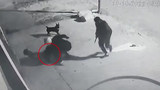 Un joven sacó a pasear su perro y dos delincuentes lo picanearon en la cabeza para robarle