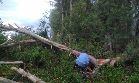 Una fuerte tormenta provocó destrozos y dejó a varios barrios sin luz en la ciudad de Reconquista. Una fuerte tormenta provocó destrozos y dejó a varios barrios sin luz en la ciudad de Reconquista.