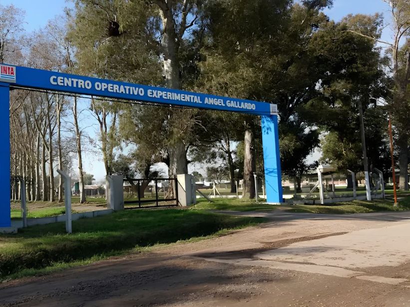 INTA: Santa Fe pierde referentes y peligra la continuidad del Centro Operativo Ángel Gallardo INTA: Santa Fe pierde referentes y peligra la continuidad del Centro Operativo Ángel Gallardo