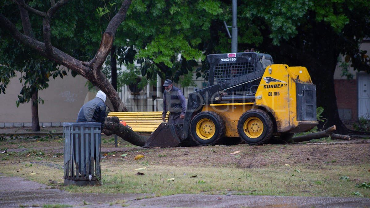 Tras la tormenta, en la Plaza de las Banderas cayeron ramas pero no árboles enteros.