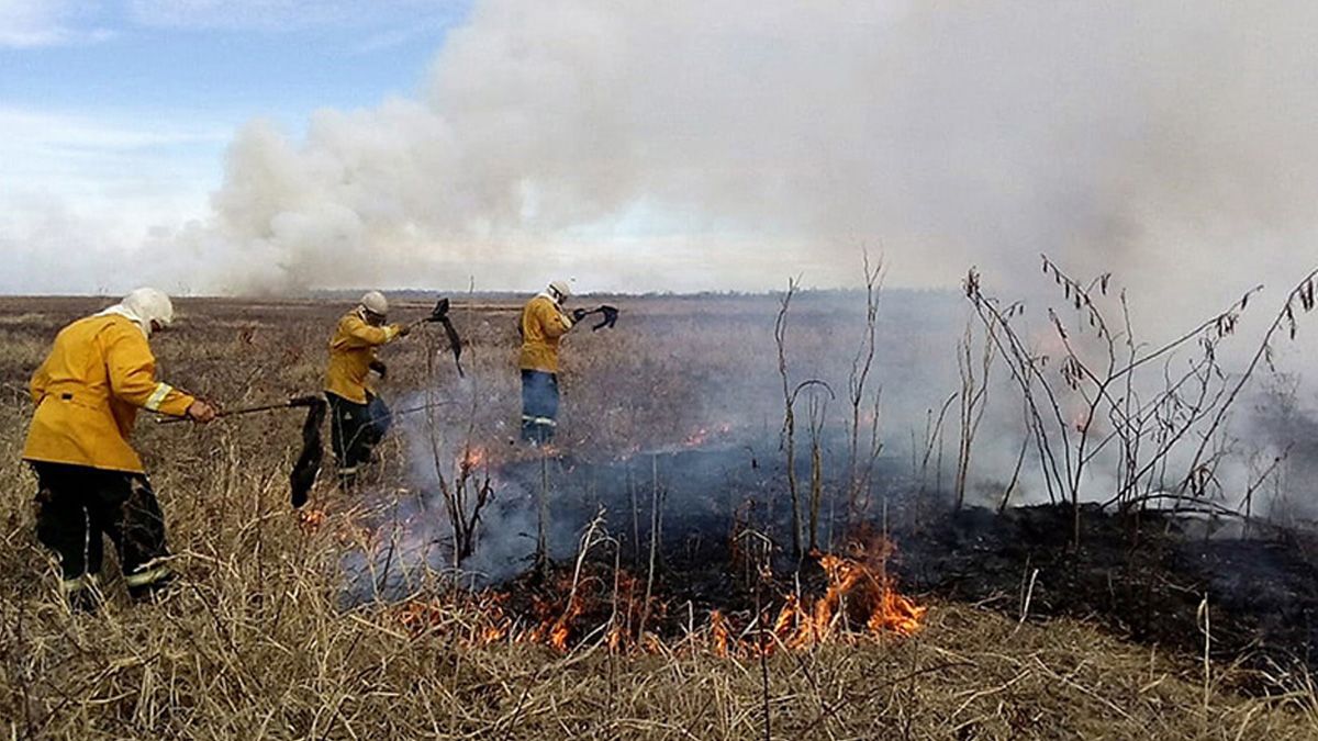 Entregaron a la Justicia los datos sobre los dueños de los predios incendiados