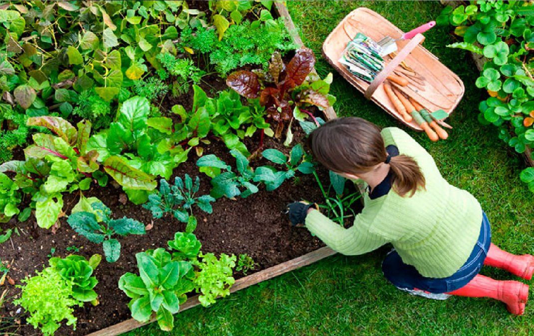 Huerta en casa: cómo elegir el sitio ideal