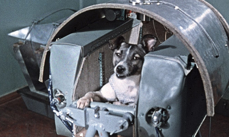 La triste historia de Laika, la perrita rusa, que fue enviada a morir al espacio La triste historia de Laika, la perrita rusa, que fue enviada a morir al espacio