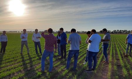 Santa Fe es productora por excelencia de legumbres de invierno a nivel nacional. Santa Fe es productora por excelencia de legumbres de invierno a nivel nacional.