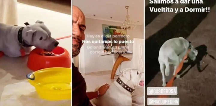 En sus historias de instagram Verón va mostrando el buen compartimiento de su nuevo compañero de vida.