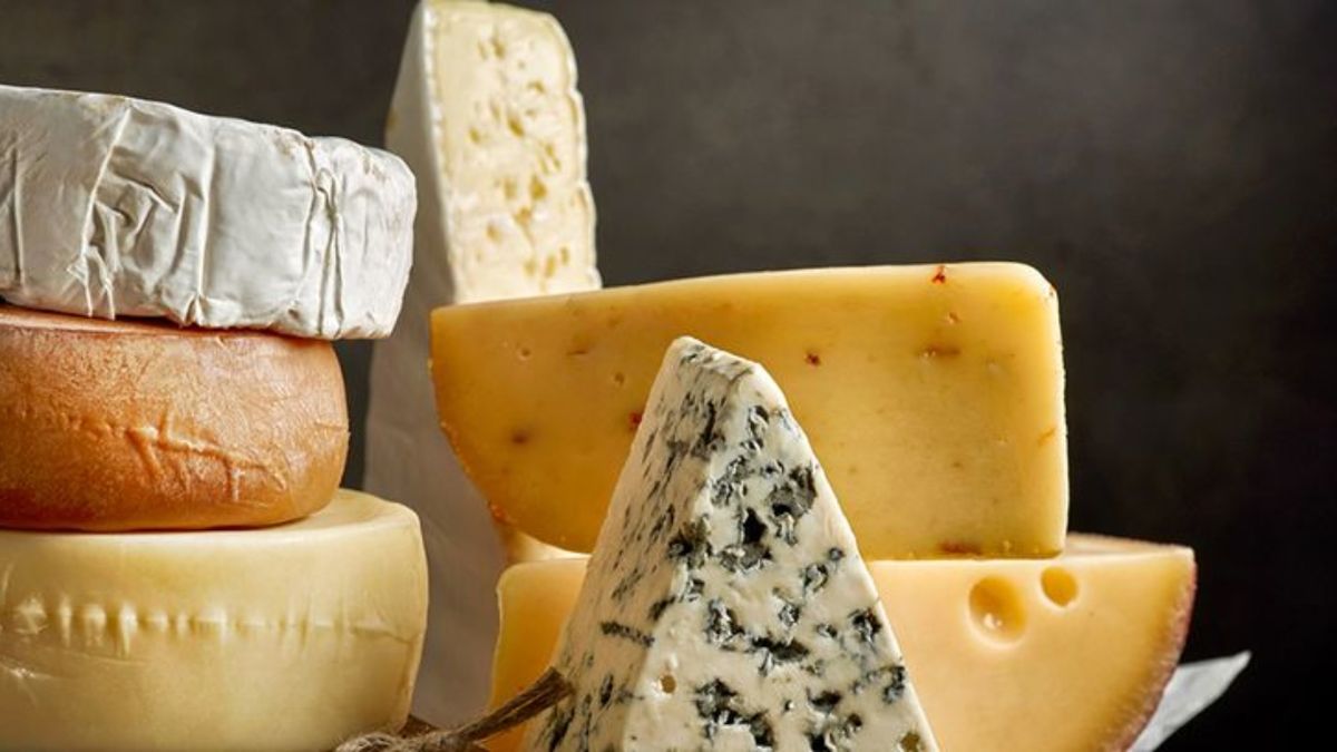 Tipos de quesos lo que más y menos engordan