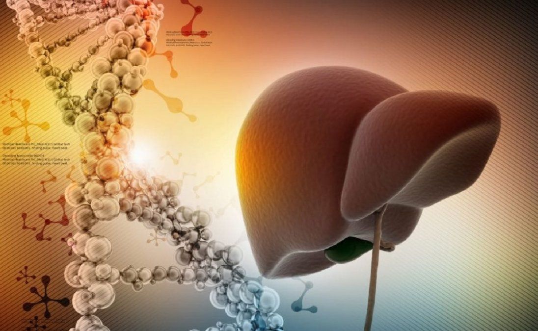 Qué beneficios tiene la manzanilla para el hígado