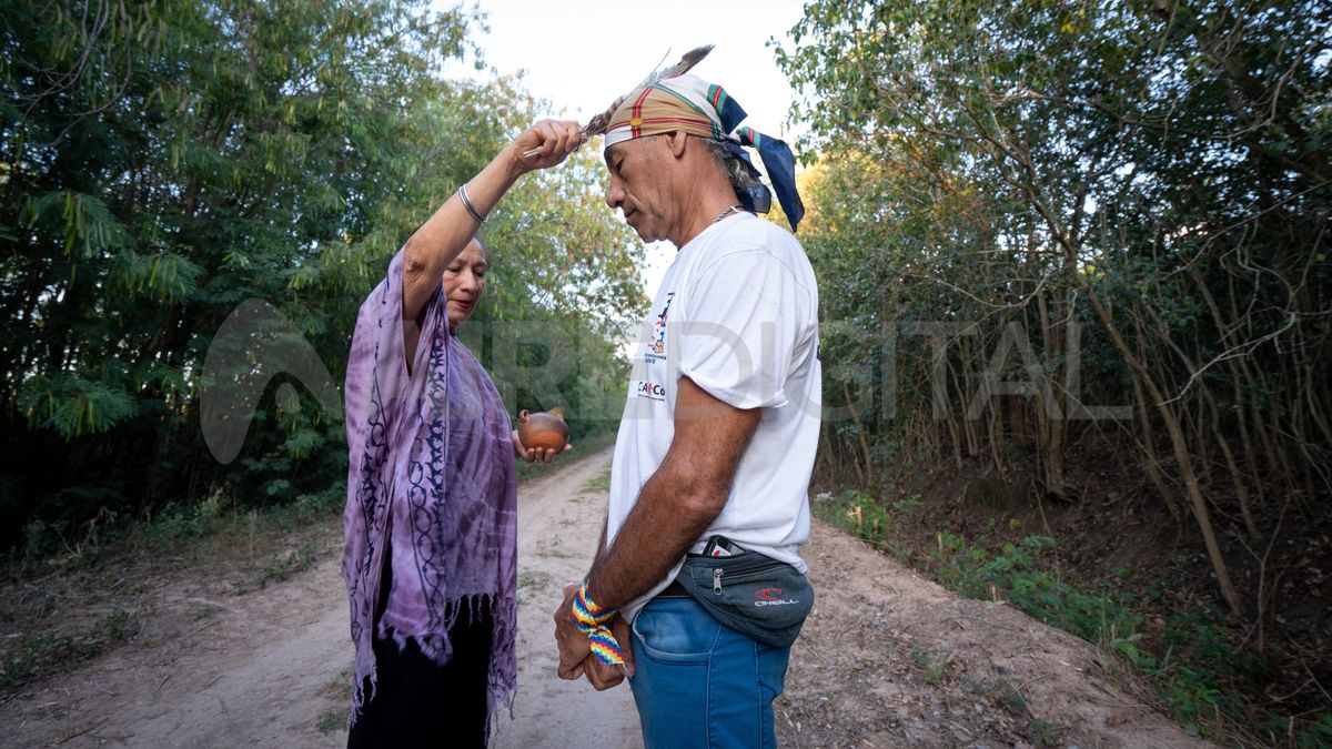 La sanadora toma su ramillete y recorre a los participantes del ritual desde la cabeza a los pies. Primero la cabeza, luego el hombro izquierdo, después el derecho y así hasta llegar a los pies.