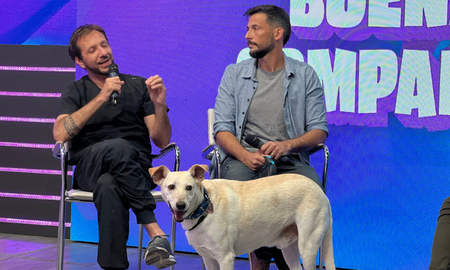 Tomás, un perro adoptado, visitó los estudios de AIRE junto a los fundadores de Vet en Línea. Tomás, un perro adoptado, visitó los estudios de AIRE junto a los fundadores de Vet en Línea.