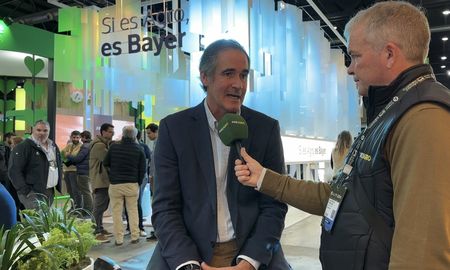 anticipan un congreso internacional de maiz con optimismo y novedades tecnologicas