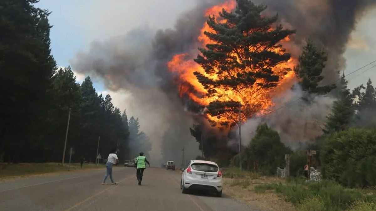Confirmaron que los incendios en Epuyén y El Bolsón fueron intencionales