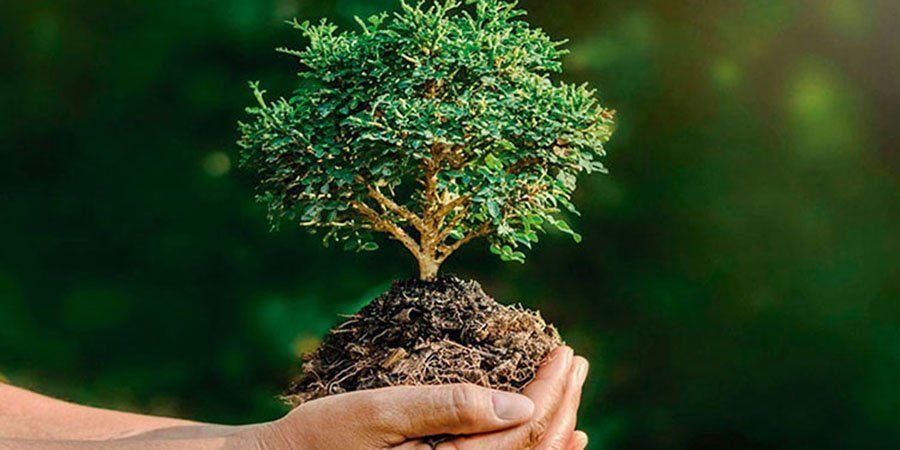 Efemérides del 18 de octubre: se celebra el Día Mundial de Protección de la Naturaleza