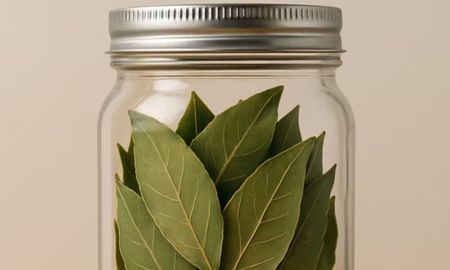 Dónde hay que poner un frasco con laurel en octubre. Dónde hay que poner un frasco con laurel en octubre.