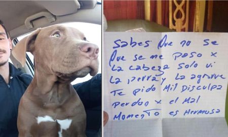 Le robaron su perrita y se la devolvieron con una nota: No sé qué se me cruzó por la cabeza, es hermosa Le robaron su perrita y se la devolvieron con una nota: No sé qué se me cruzó por la cabeza, es hermosa