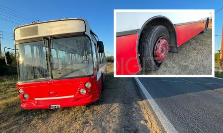 Cambiaba un neumático en Circunvalación Oeste, el gato se zafó y el colectivo lo aplastó: pelea por su vida en el Cullen. Cambiaba un neumático en Circunvalación Oeste, el gato se zafó y el colectivo lo aplastó: pelea por su vida en el Cullen.