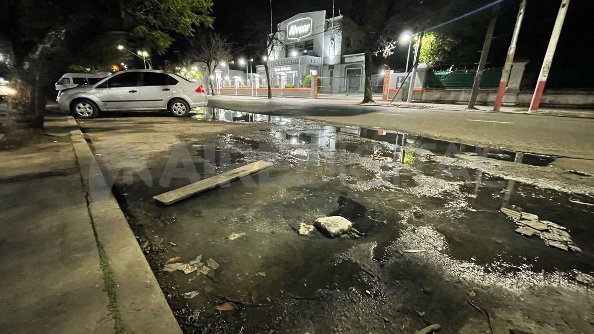 La pérdida está en el cantero central