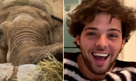 Santi Maratea logró recaudar dinero para trasladar al elefante Tamy. Santi Maratea logró recaudar dinero para trasladar al elefante Tamy.