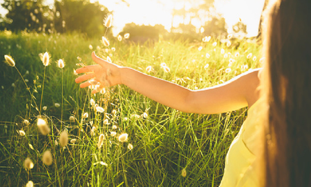 por que estar en contacto con la naturaleza hace bien por que estar en contacto con la naturaleza hace bien