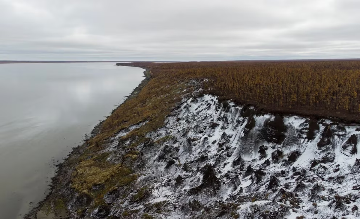 Desde que los científicos identificaron las primeros indicios del aumento de la temperatura del planeta, la idea sobre las consecuencias que podrían generarse ante el posible derretimiento de los polos creció (REUTERS/Maxim Shemetov)
