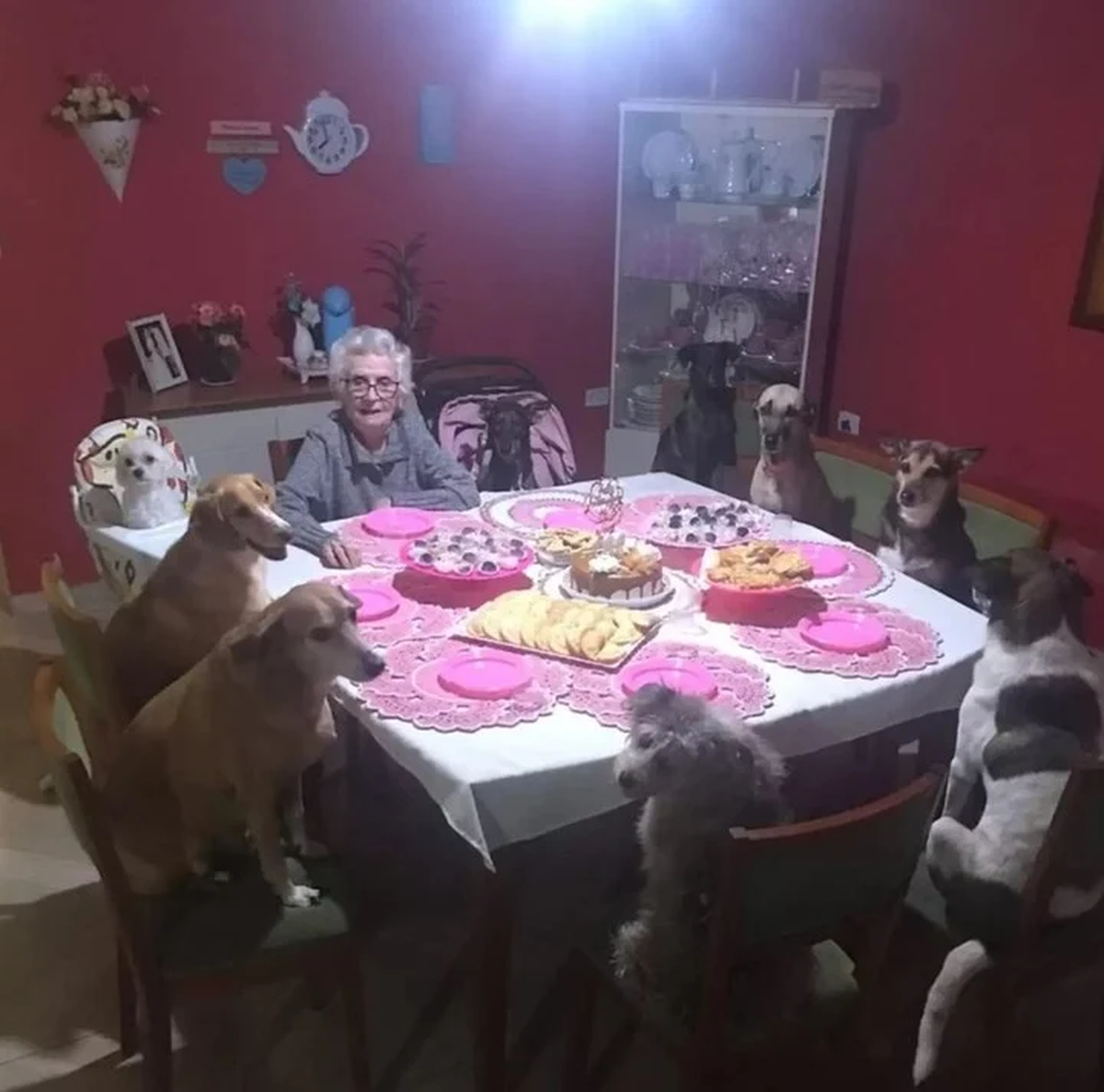 Los perritos, sentados a la mesa para el banquete.