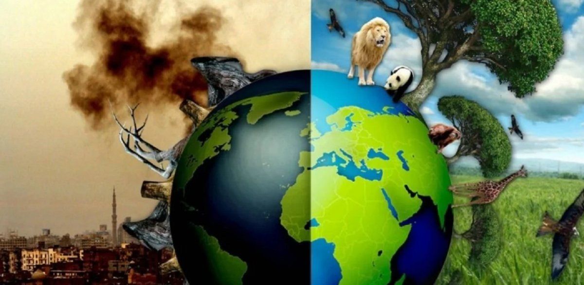 Coronavirus: el científico que en 2010 predijo un caos mundial para el 2020