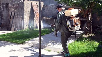Santa Fe logró un modelo de trabajo efectivo en la prevención del dengue, que podría servir de ejemplo para otras localidades. 