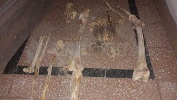 Macabro: hallaron huesos humanos en una bolsa a una cuadra de la Municipalidad de Santa Fe