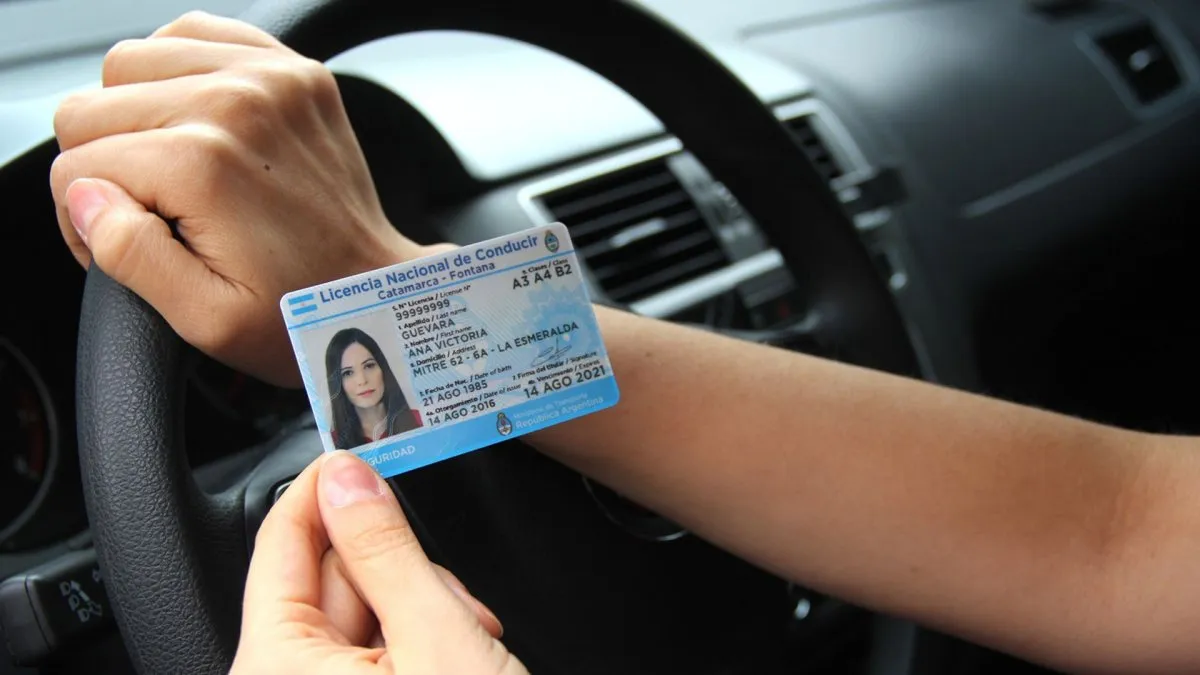 Los cambios en la licencia de conducir de los choferes profesionales. Toda la información. 