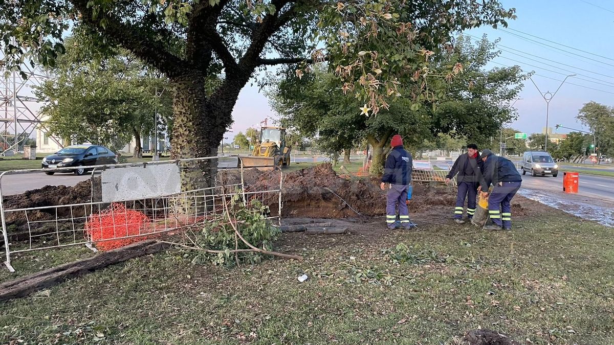La zona de trabajo está cercada, por lo que hay restricciones en el tránsito sobre la Avenida Alem mano al este.