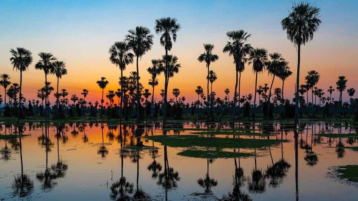 La fauna y los cielos abiertos convierten al humedal en un escenario ideal para la observación y la fotografía.