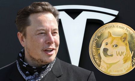 La criptomoneda nació a partir del meme de doge. La criptomoneda nació a partir del meme de doge.