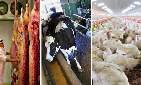 retenciones: como afectan a los productores de santa fe las medidas de milei