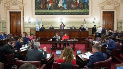 Aire de Santa Fe | Cámara de Diputados 9 de Junio 2022.jpeg