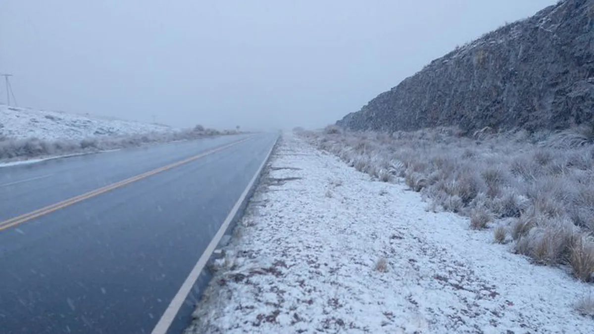 El hecho se registró a la vera de la ruta cercana a la zona de "Altas Cumbres" en la provincia de Córdoba. El hecho se registró a la vera de la ruta cercana a la zona de "Altas Cumbres" en la provincia de Córdoba. 