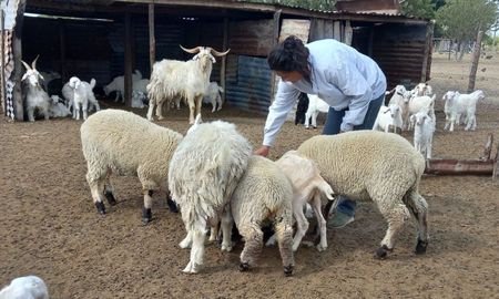 dia internacional de la mujer rural: por que se celebra hoy dia internacional de la mujer rural: por que se celebra hoy