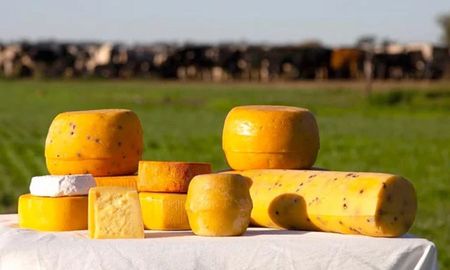 La Ruta del Queso en Córdoba invita a los turistas a recorrer pueblos llenos de tradición y gastronomía. La Ruta del Queso en Córdoba invita a los turistas a recorrer pueblos llenos de tradición y gastronomía.