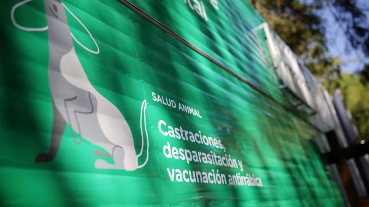Para acceder a las castraciones, vacunaciones y desparasitaciones debe sacarse turno online o en el mismo puesto.