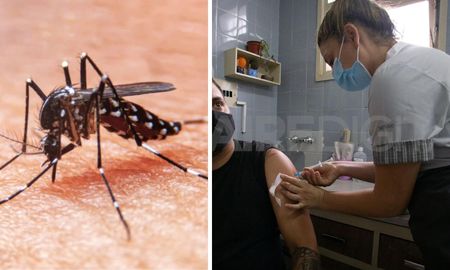 Por primera vez en el 2024, los casos de dengue y Covid-19, bajaron en el reporte epidemiológico semanal. Por primera vez en el 2024, los casos de dengue y Covid-19, bajaron en el reporte epidemiológico semanal.