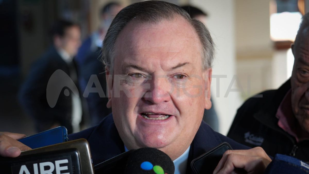 “Que haya especulación o suspicacias o dudas pueden ser, pero el objetivo nuestro es un salto de eficiencia y organización en la compra, planificación y provisión de los mecanismos a la población”, insistió Michlig.