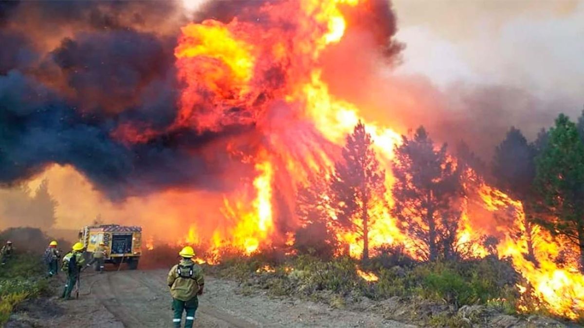 El Gobierno Nacional analiza la posibilidad de incorporar al temario de extraordinarias la Ley de Emergencia Ígnea para dotar de herramientas a las provincias asedidadas por los incendios forestales.