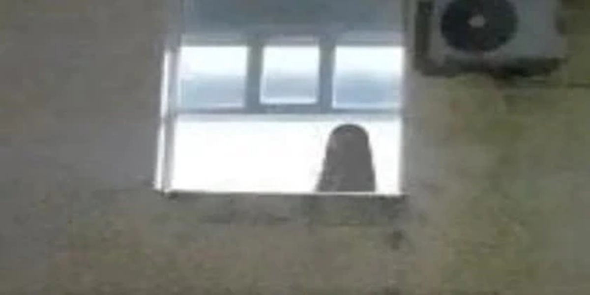 Un sereno de una clínica en Chaco asegura haber visto a un fantasma y hasta le sacó una foto. Muchos trabajadores declaran que no es la primera vez que ven algo así.
