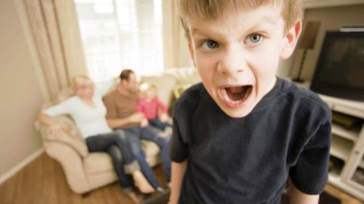 Los rasgos del temperamento son genéticos y también hacen parte de la construcción del carácter del niño