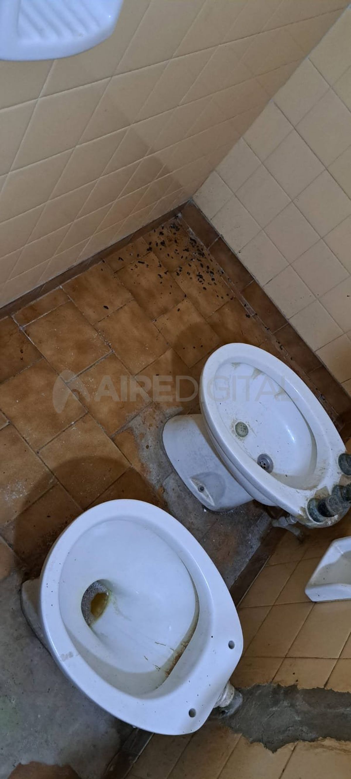 Clausuraron una distribuidora en Santa Fe. Clausuraron una distribuidora en Santa Fe.
